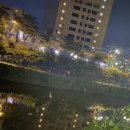 김수환무네 이미지