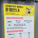 정암 조광조 선생 유배지 | 전남 화순 여행] 화순 고인돌 유적지, 정암 조광조선생 유배지, CNN 선정 세량지, 개미산 전망대 (feat...