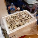 호남수산 이미지