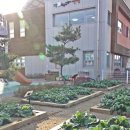 고창보듬이나눔이어린이집 네이버블로그