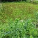 제천농장 이미지