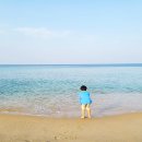 봉포약국 이미지