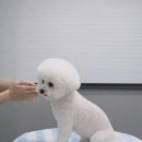 올리스(위례) 이미지