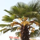 웅남동행정복지센터 이미지