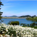 장산도 Daum카페