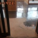칼라주점 이미지