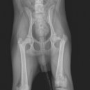 조치원메디컬센터 이미지