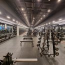 사파동180 이미지