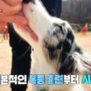 발트바우(WALD BOW) 이미지