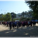 물야초등학교 이미지