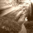 사랑-동행 이미지