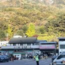 오색찹쌀만두
