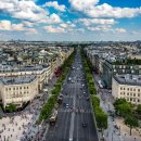 마로니에 이미지