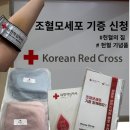 부평 헌혈의집 방문기｜조혈모세포 기증 신청하고 헌혈 기념품 여행 파우치까지!