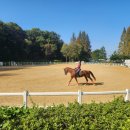 고양체육관 농구장1 이미지