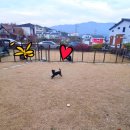 경주숲속펜션 이미지