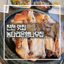 국수나무 진천점 | [진천 맛집] 농다리은행나무집 / 1박2일 방영 유황오리 진흙구이