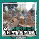 경기도 수원시 영통구 동탄원천로 | 수원 나무 가지치기 업체 조경 벌목 작업