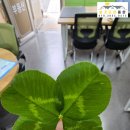 행운조은공인중개사사무소 이미지