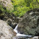 화대농장 이미지