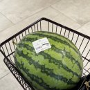 현대동대구서비스 | 대구 신세계 더현대 대구 수박 커팅 서비스 이용 후기