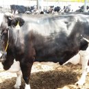 아람목장 이미지