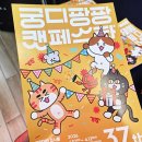 2026 궁디팡팡 캣페스타 대전 다녀온 후기