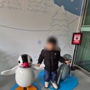 11620-22-95-1 | 휘닉스파크 스노우빌리지(눈썰매장) 폐장직전 방문 솔직후기(주차, 날씨 등)