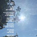 벗에게,부르심(이해인) 이미지