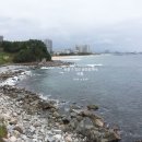 베니키아호텔산과바다속초 이미지