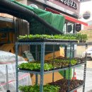 동경철물상사 이미지