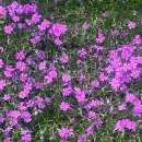 원식목장 이미지