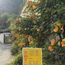 정미네식당 이미지