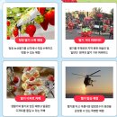 논산딸기축제 기본정보/ 3월 축제 가볼만한 곳, 봄 먹거리 축제 추천