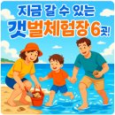 궁평리 어촌체험 휴양마을 협의회 | 👨‍👩‍👧‍👦 아이와 함께 가기 좋은 갯벌체험 장소 6곳 추천 🏝️