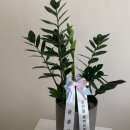 영전오토바이