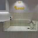 옐레드 애견유치원 애견호텔 하남미사점 이미지