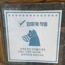 진해동물의료센터 이미지