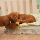 거제유치원 이미지