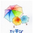 캘리중급 이미지