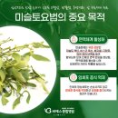 담낭·담관암 진단 후 면역 관리한 3가지 방법