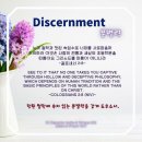 지혜사랑철학학교 이미지