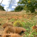 재철농장 이미지