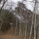 승언농장(2) | [2015년] 태안 안면도 안면송길 - 안면도수목원과 연계하여 걸으면 좋다