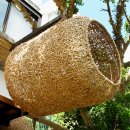 자연의 둥지 이미지