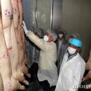 제주축산농협축산물공판장 이미지