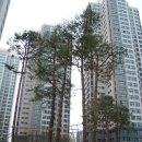 GS25 왕십리청계천 이미지