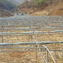 운산농장 이미지