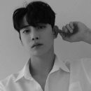 김종석 카카오 검색결과