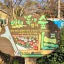 도촌 마을회관 이미지